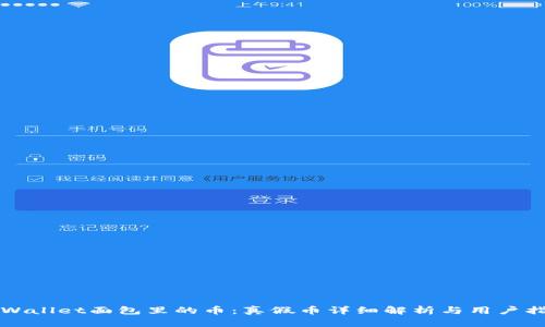 TPWallet面包里的币：真假币详细解析与用户指南