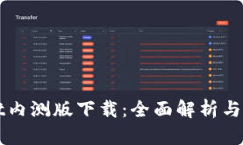 TPWallet内测版下载：全面解析与使用指南