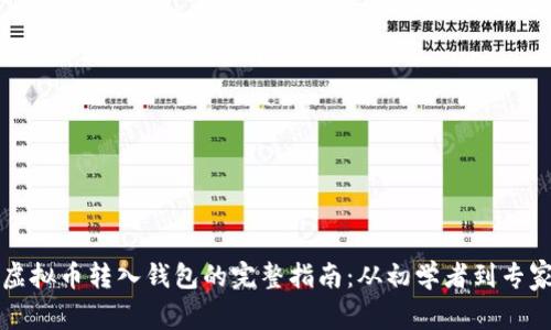 虚拟币转入钱包的完整指南：从初学者到专家