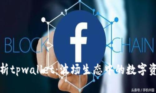 深入解析tpwallet：波场生态中的数字资产钱包