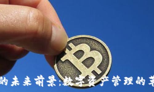   
TPWallet的未来前景：数字资产管理的革新与机会