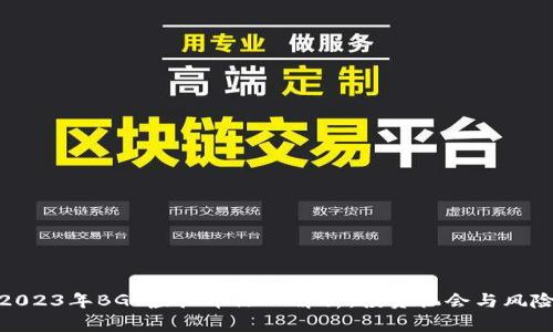 2023年BGT虚拟币深入解析：投资机会与风险