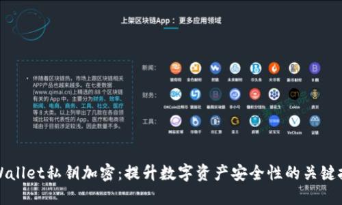 TPWallet私钥加密：提升数字资产安全性的关键技术