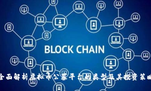全面解析虚拟币公募平台的类型及其投资策略