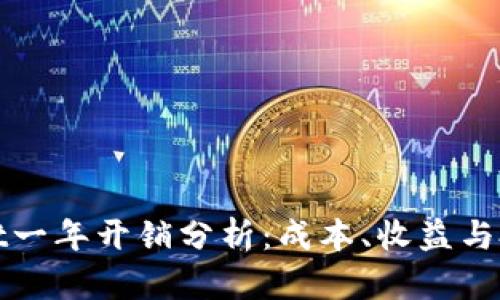 TPWallet一年开销分析：成本、收益与投资回报