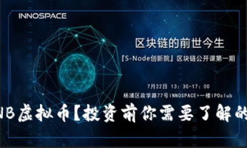 什么是ZNB虚拟币？投资前你需要了解的全部信息