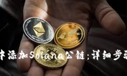 如何在TPWallet中添加Solana公链：详细步骤与常见问题解答