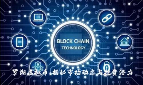 罗湖虚拟币：揭秘市场动态与投资潜力