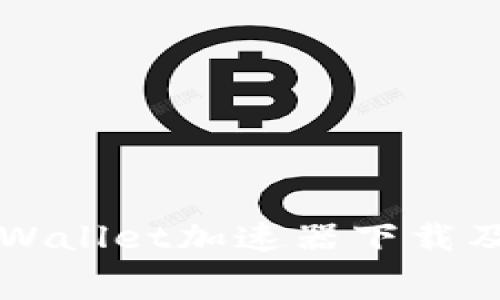 免费的TPWallet加速器下载及使用指南