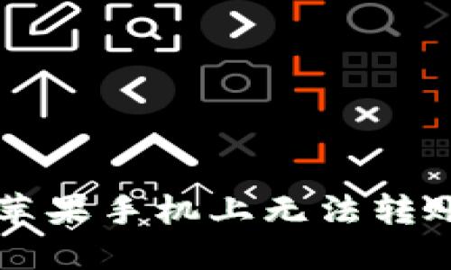 TPWallet在苹果手机上无法转账的解决方案