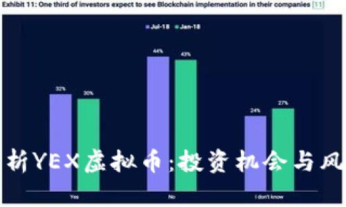 全面解析YEX虚拟币：投资机会与风险详解
