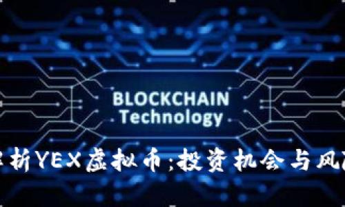 全面解析YEX虚拟币：投资机会与风险详解