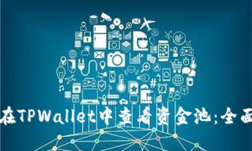 如何在TPWallet中查看资金池：全面指南