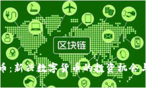 普洱虚拟币：新兴数字货币的投资机会与风险分析