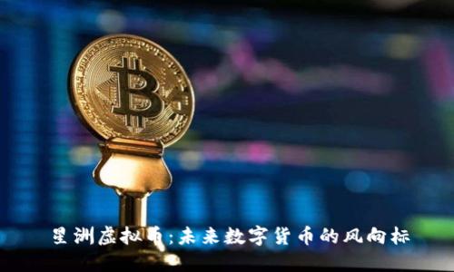 星洲虚拟币：未来数字货币的风向标