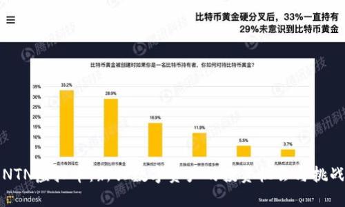 NTN虚拟币：新兴数字资产的投资机会与挑战