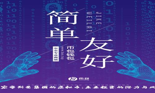 荷兰皇家帝斯曼集团的虚拟币：未来投资的潜力与风险分析