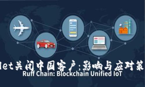 TPWallet关闭中国客户：影响与应对策略解析