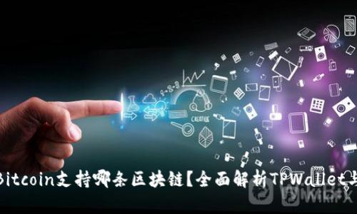 TPWallet Bitcoin支持哪条区块链？全面解析TPWallet与BTC的关联