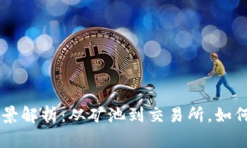 虚拟币发行的全景解析：从矿池到交易所，如何选择适合的平台