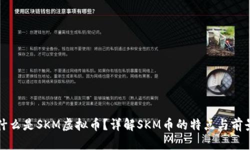 什么是SKM虚拟币？详解SKM币的特点与前景