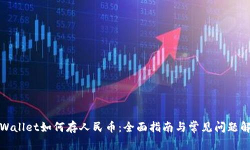 TPWallet如何存人民币：全面指南与常见问题解答