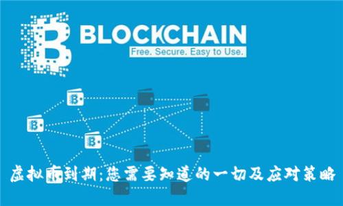 虚拟币到期：您需要知道的一切及应对策略
