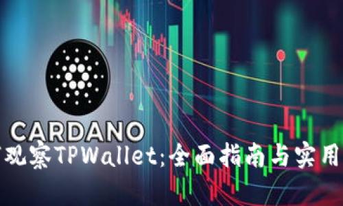 如何观察TPWallet：全面指南与实用技巧