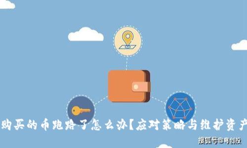TPWallet购买的币跑路了怎么办？应对策略与维护资产安全指南