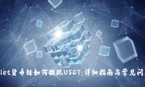 TPWallet货币链如何提现USDT：详细指南与常见问题解答
