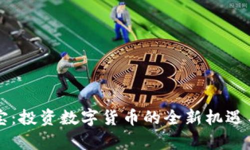 虚拟币宝宝：投资数字货币的全新机遇与风险分析