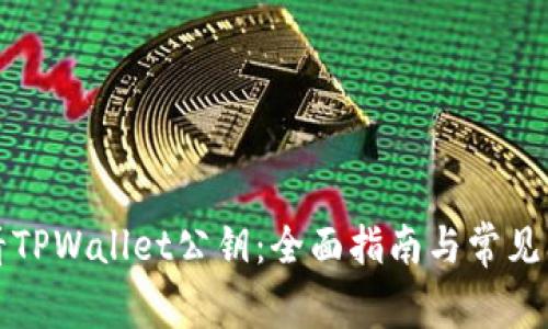 如何查看TPWallet公钥：全面指南与常见问题解析