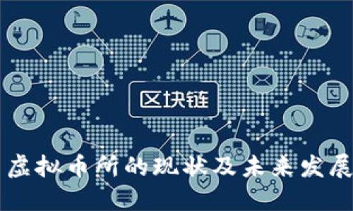 中国虚拟币所的现状及未来发展探索