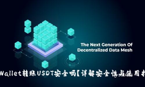 TPWallet转账USDT安全吗？详解安全性与使用指南
