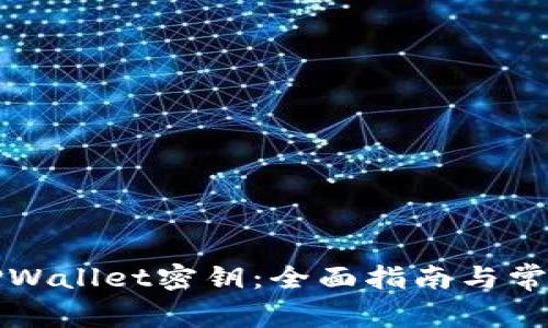 如何找回TPWallet密钥：全面指南与常见问题解答