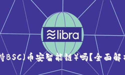 TPWallet支持BSC（币安智能链）吗？全面解析与使用指南