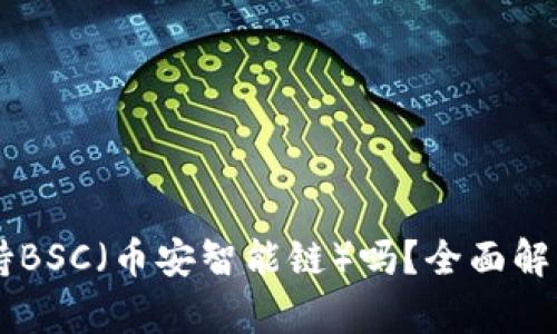 TPWallet支持BSC（币安智能链）吗？全面解析与使用指南