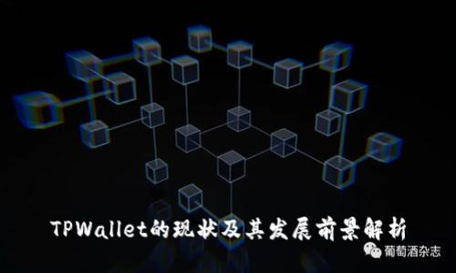 TPWallet的现状及其发展前景解析