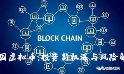 富国虚拟币：投资新机遇与风险解析