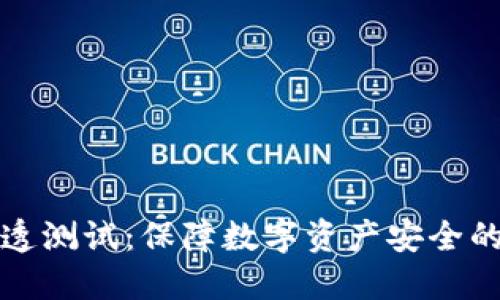 虚拟币渗透测试：保障数字资产安全的关键措施