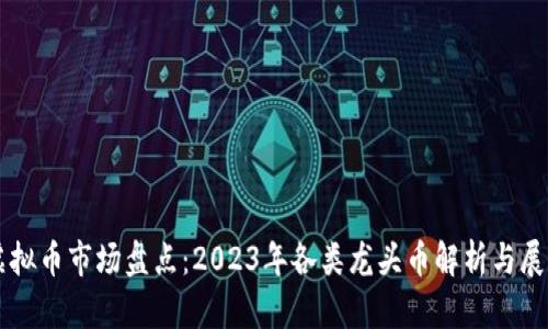 虚拟币市场盘点：2023年各类龙头币解析与展望
