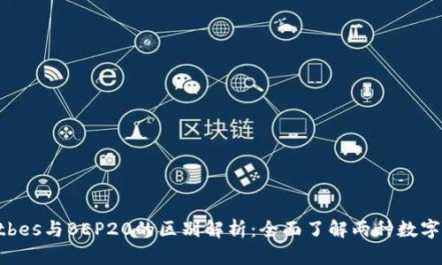 TPWalletbes与BEP20的区别解析：全面了解两种数字钱包标准
