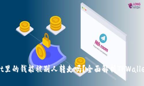 TPWallet里的钱能被别人转走吗？全面解析TPWallet安全性