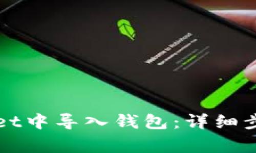 如何在TPWallet中导入钱包：详细步骤与注意事项