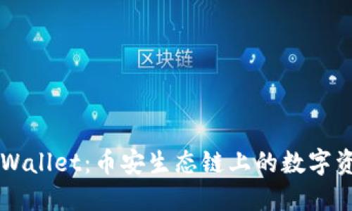 深入探索TPWallet：币安生态链上的数字资产管理利器