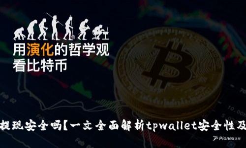 tpwallet提现安全吗？一文全面解析tpwallet安全性及风险控制