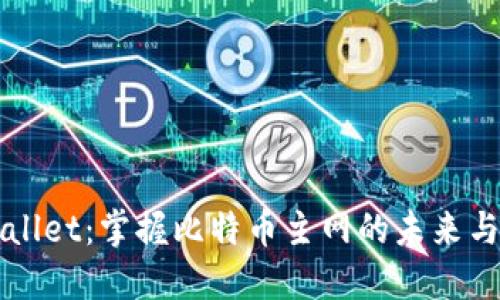 TPWallet：掌握比特币主网的未来与应用