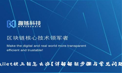 TPWallet被上锁怎么办？详解解锁步骤与常见问题解答