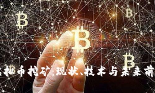 国内虚拟币挖矿：现状、技术与未来前景分析