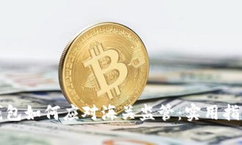 虚拟币电子钱包如何应对海关监管：实用指南与合规建议